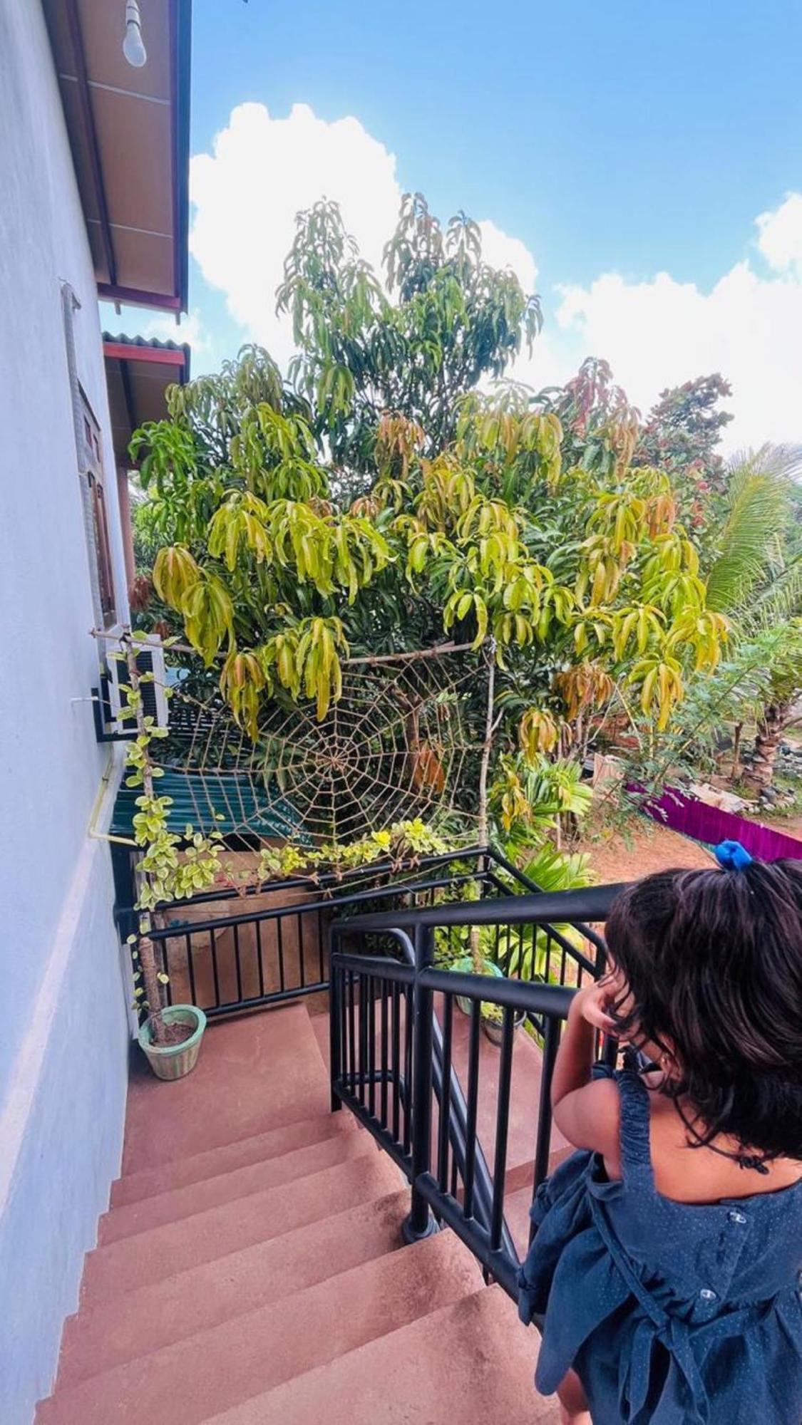 Dew Ashi Homestay Sigiriya Exterior foto