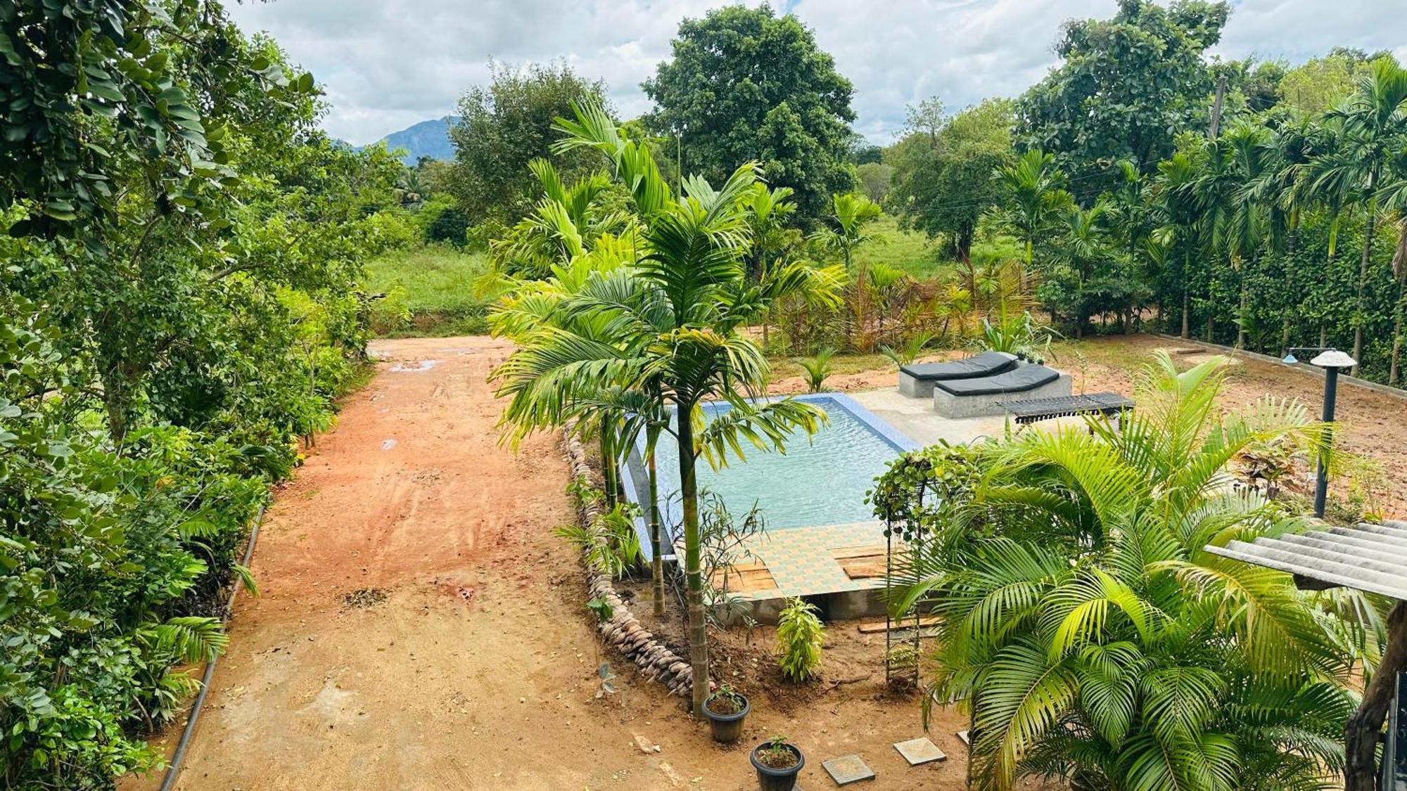 Dew Ashi Homestay Sigiriya Exterior foto