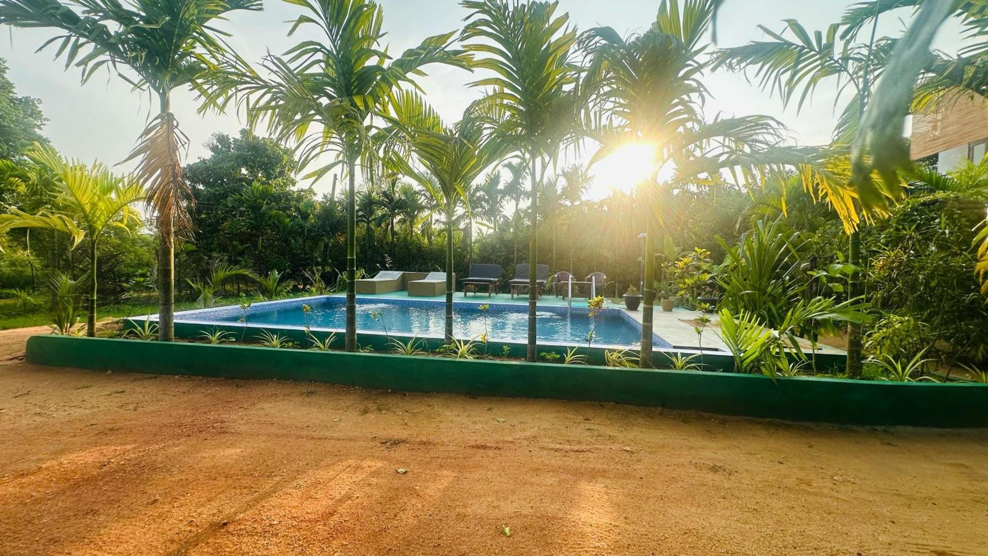 Dew Ashi Homestay Sigiriya Exterior foto