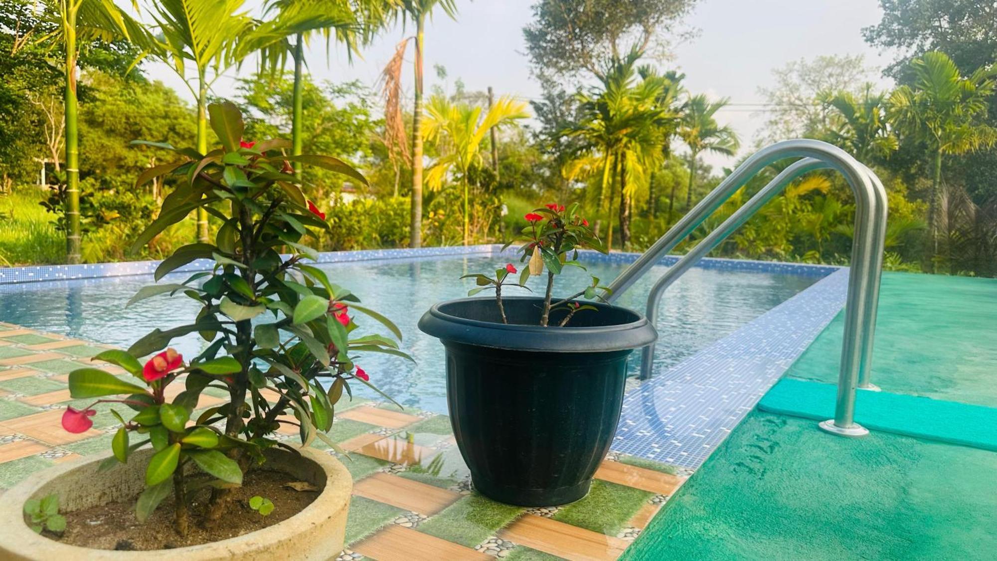 Dew Ashi Homestay Sigiriya Exterior foto