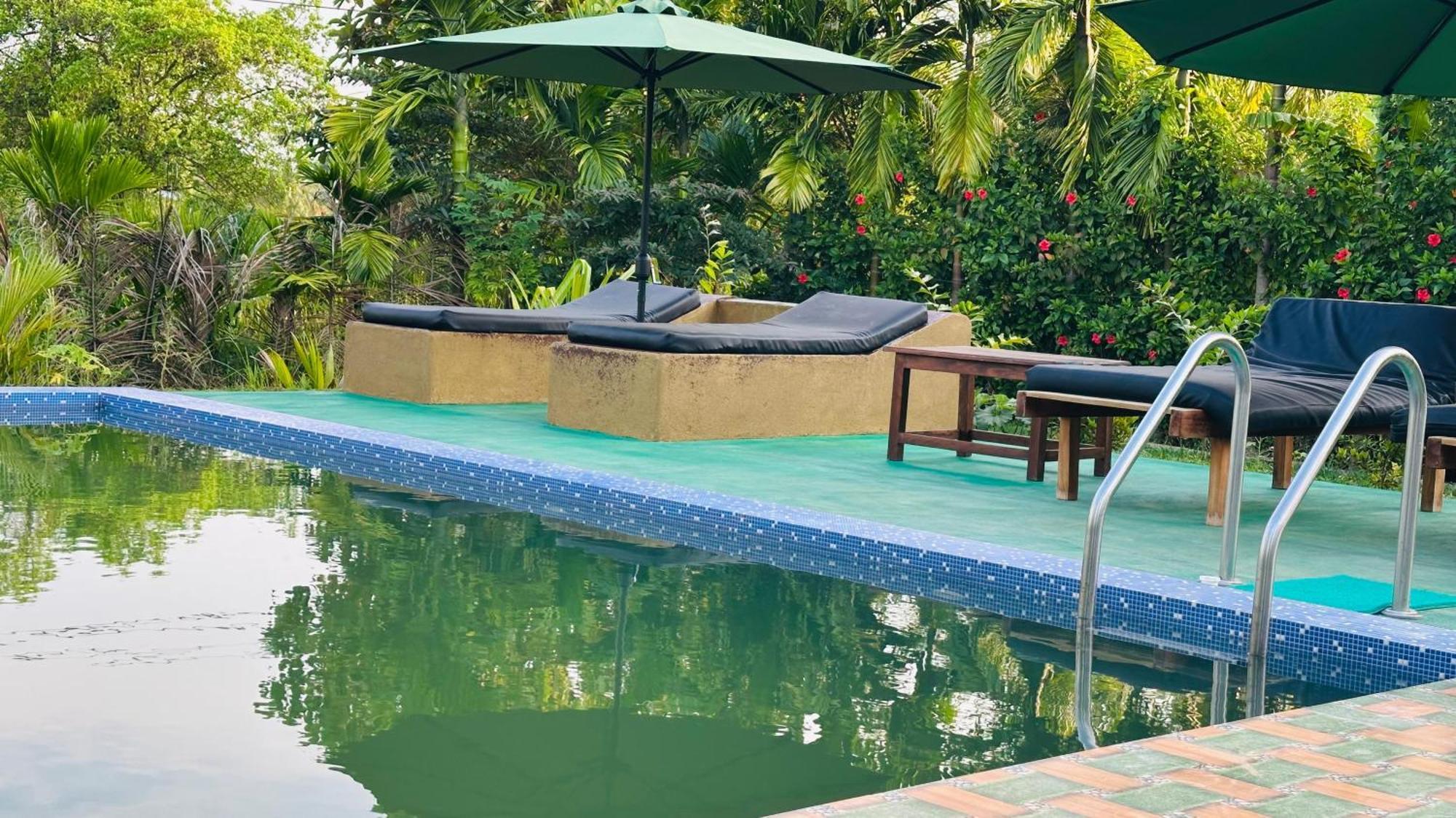 Dew Ashi Homestay Sigiriya Exterior foto